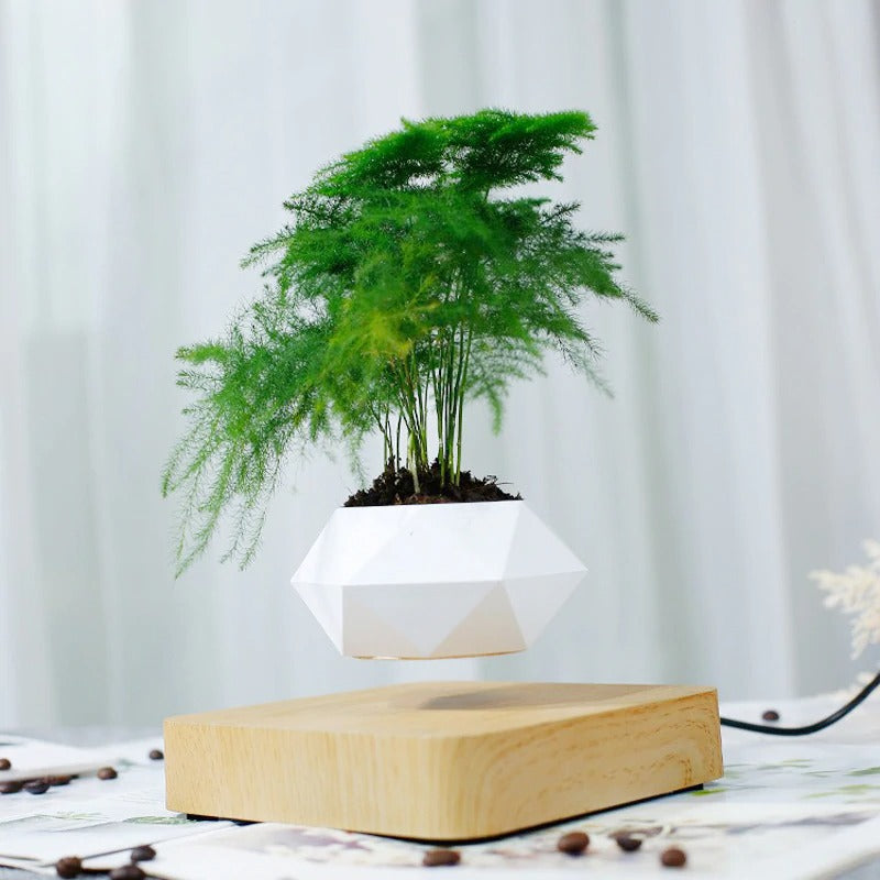 Levitating Air Bonsai Pot Rotation Flower Pot Magnetic Planters